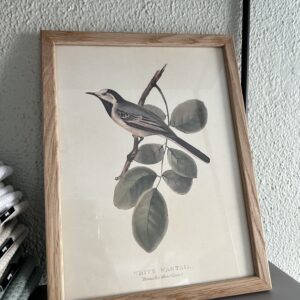 Poster liten